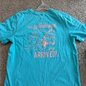 Chubbies Turquoise Graphic T-Shirt